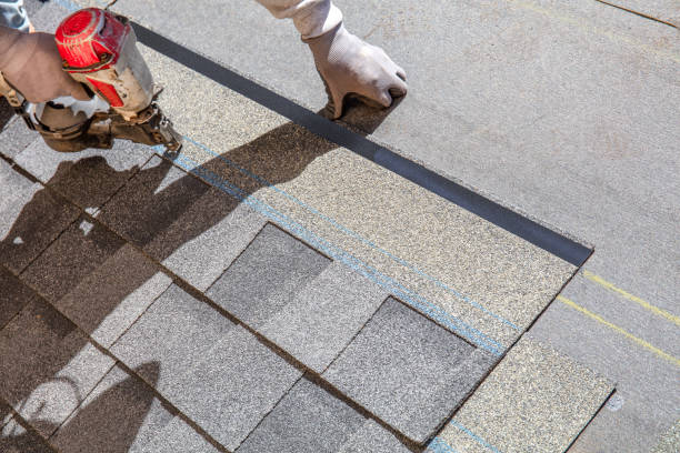 Professional Roofing services in Biloxi, MS